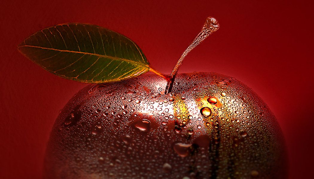 Sameh-Zain_GRAVITY_Mart-Gallery